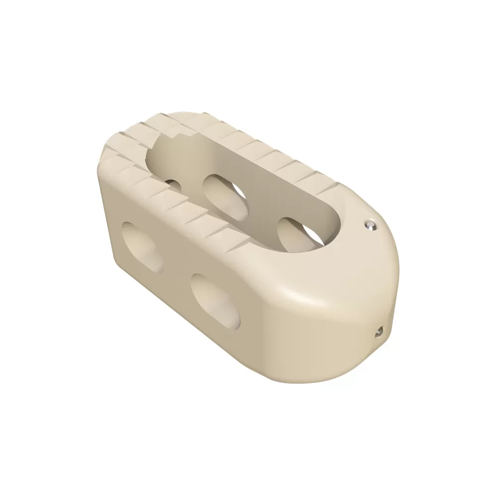 Lumbar Interbody Fusion Cage 