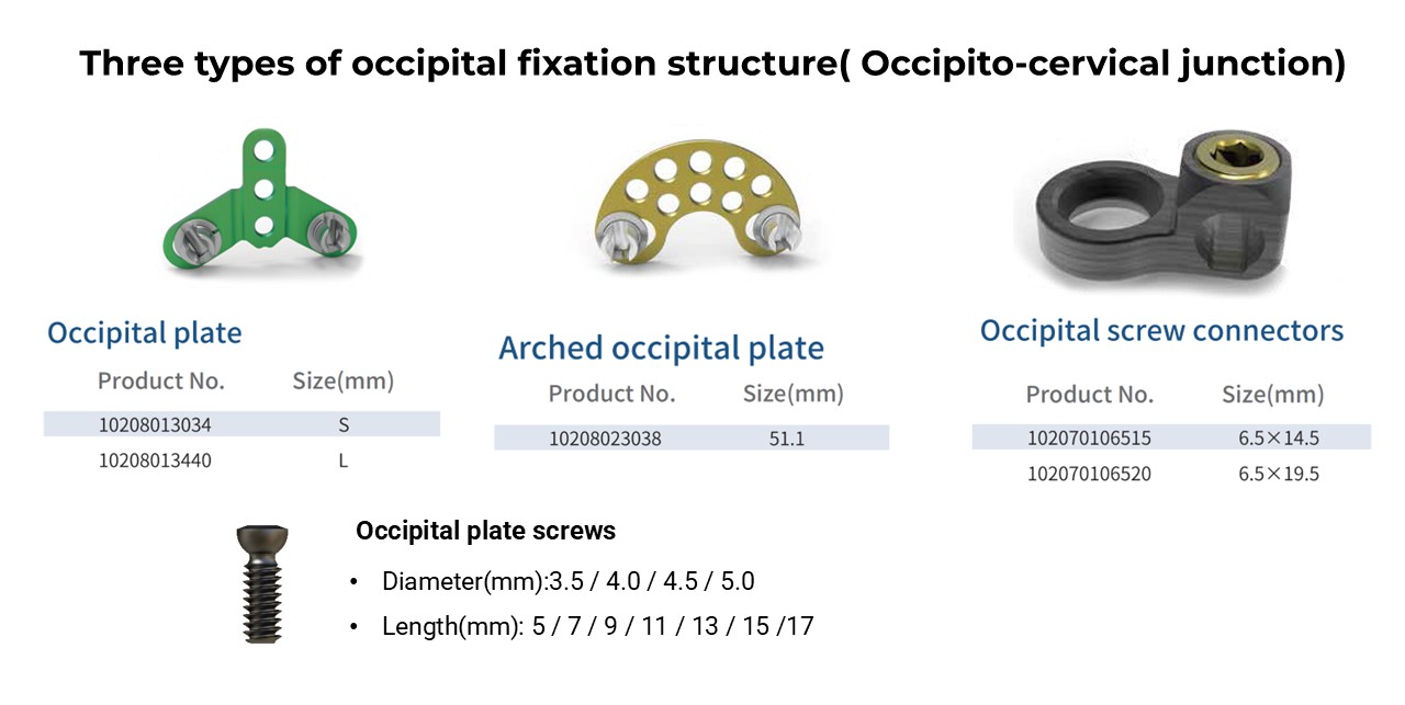 Occipital screw connectors - OCT System Components