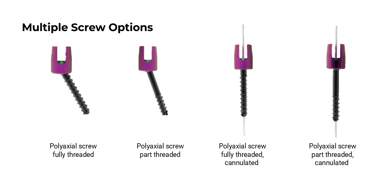 Polyaxial screwv(fully threaded) - OCT System Components