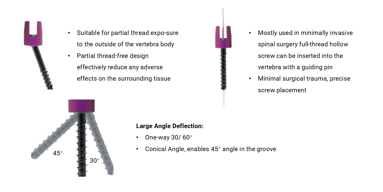 Polyaxial screwv(fully threaded) - OCT System Components