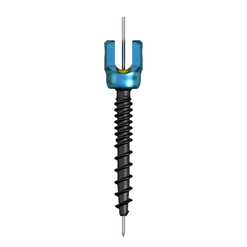 Thoracolumbar Percutaneous Minimally Invasive Screw & Rod System