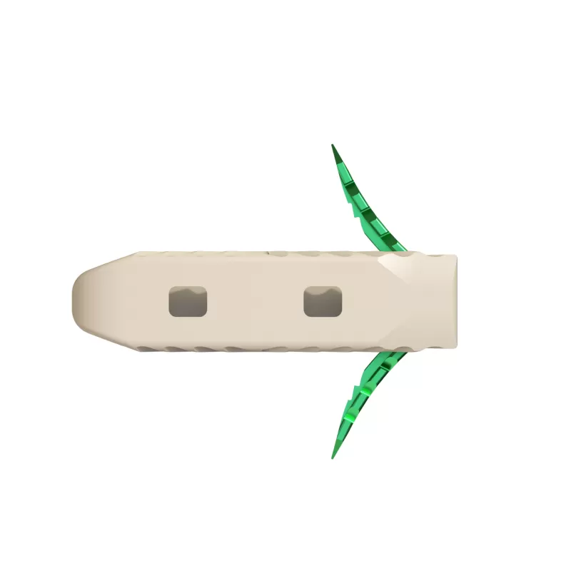 Lumbar Interbody Fusion Cage(Insert-Type)