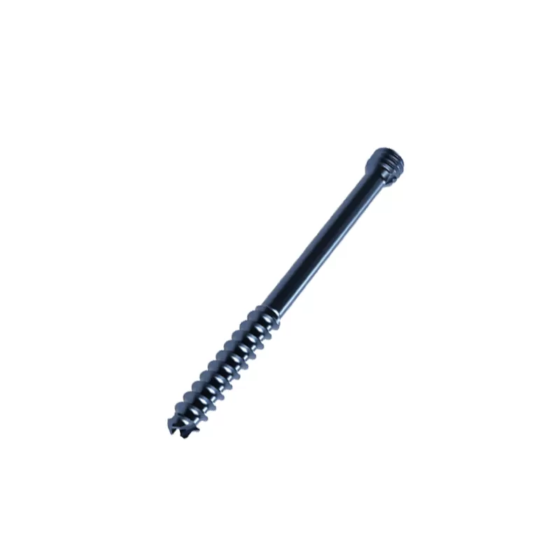 Double-headed Cannulated Screw