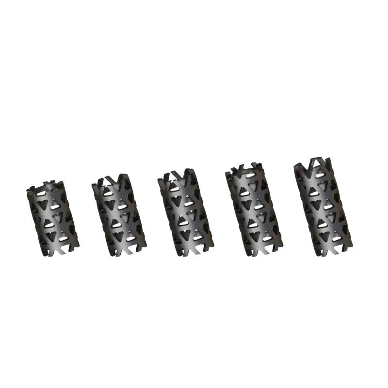 Titanium Mesh Cage