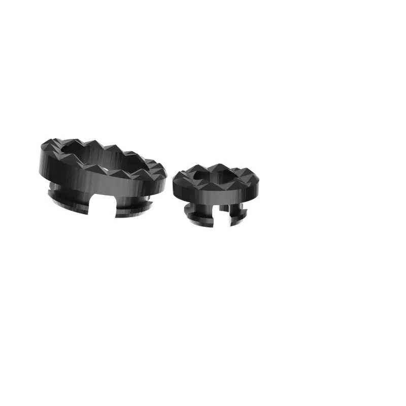 Titanium Mesh Cage