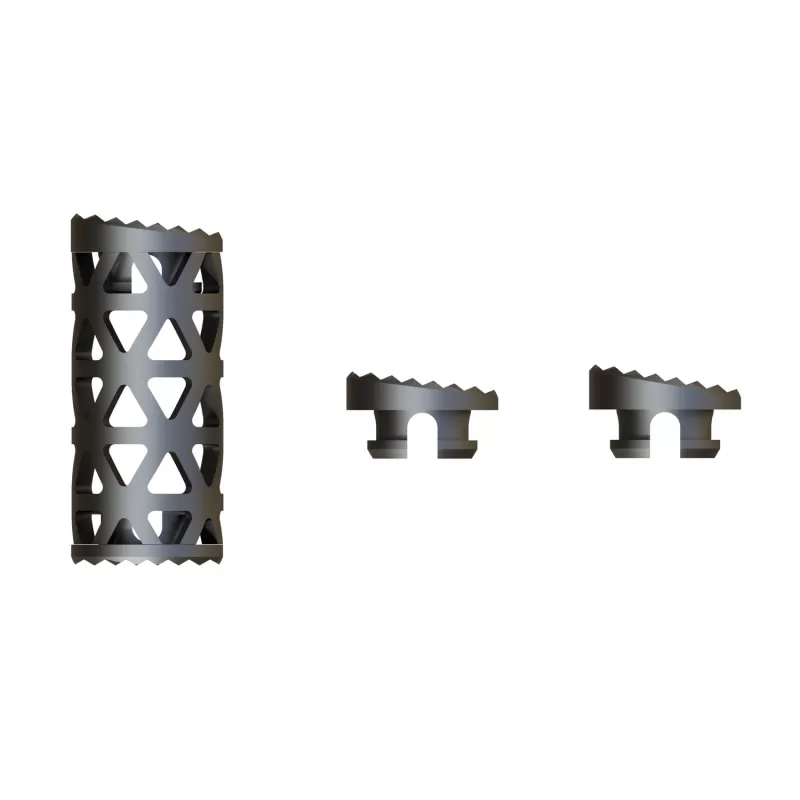 Titanium Mesh Cage