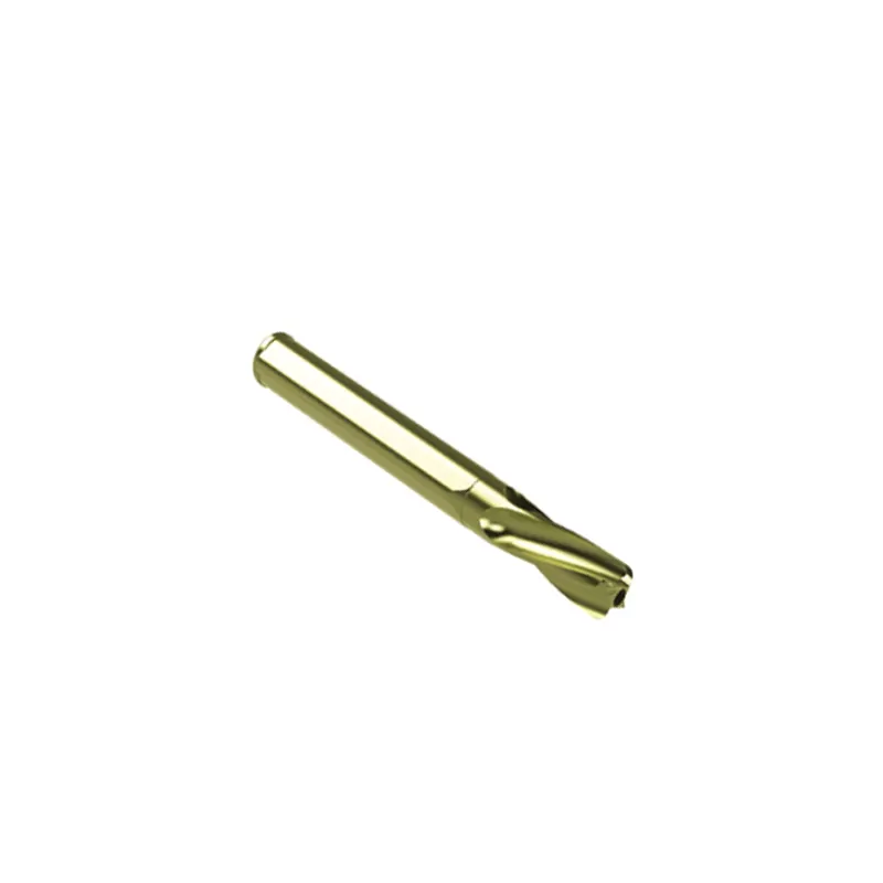Proximal Femoral Nail Type I – Single Lag Screw