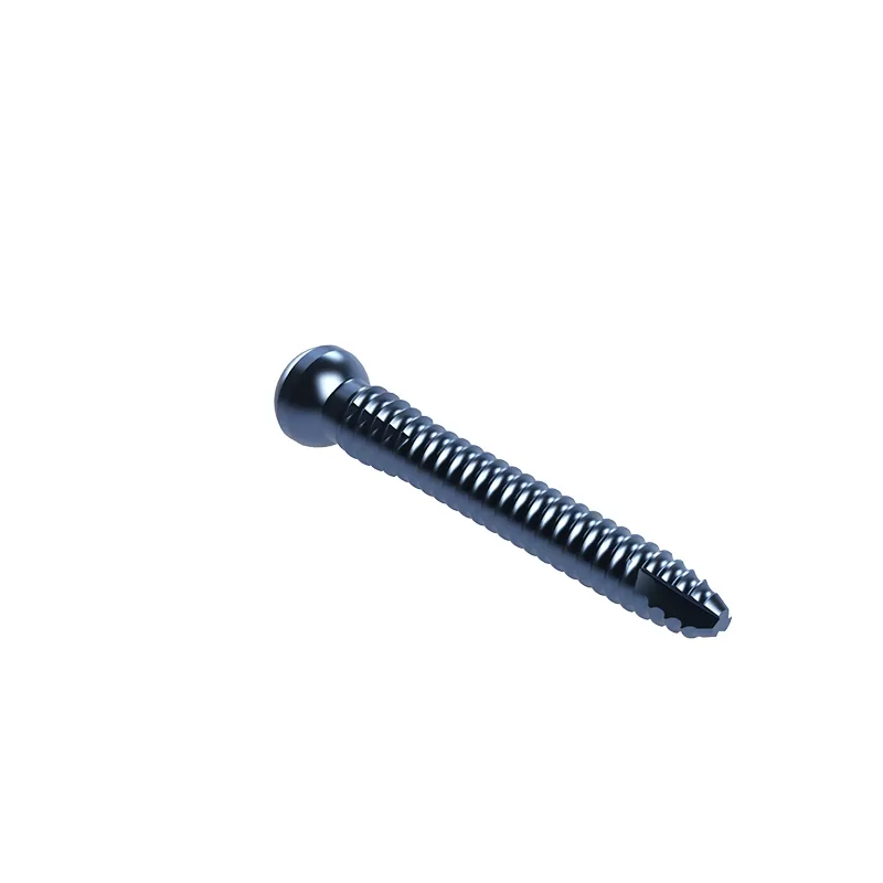 Proximal Femoral Nail Type I – Single Lag Screw
