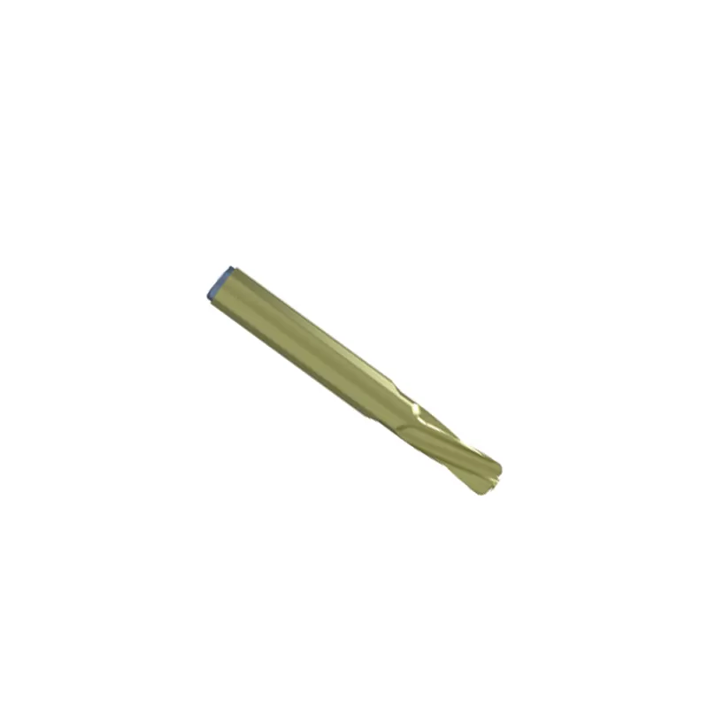 Proximal Femoral Nail Type I – Double Lag Screw