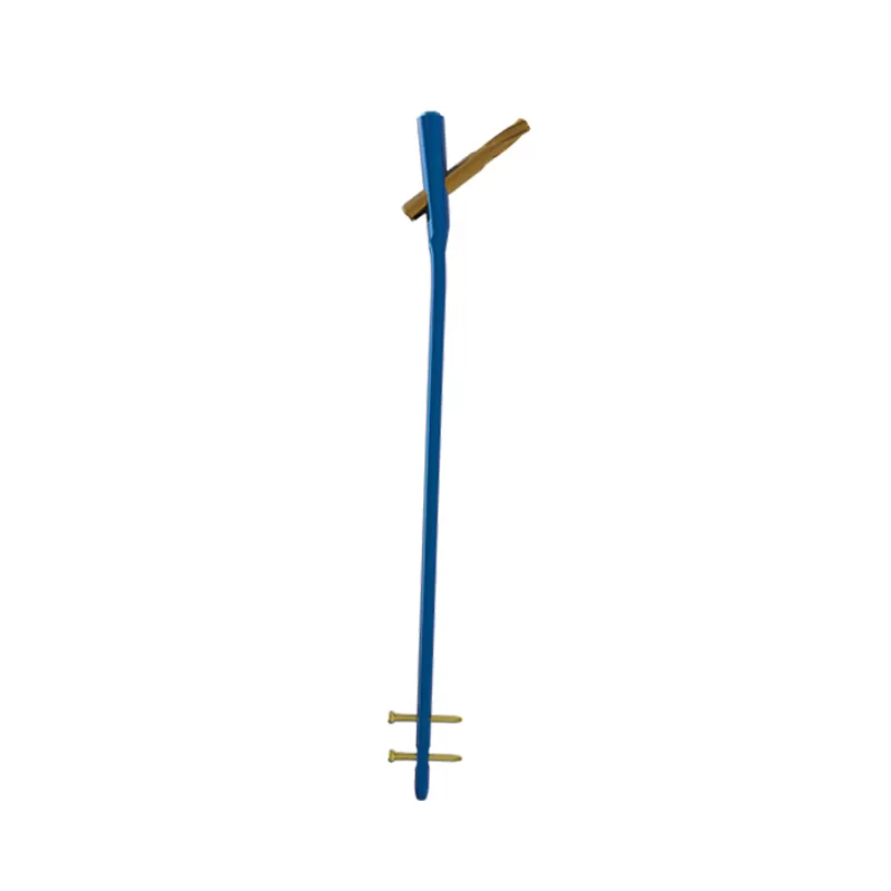 Proximal Femoral Nail Type I – Double Lag Screw