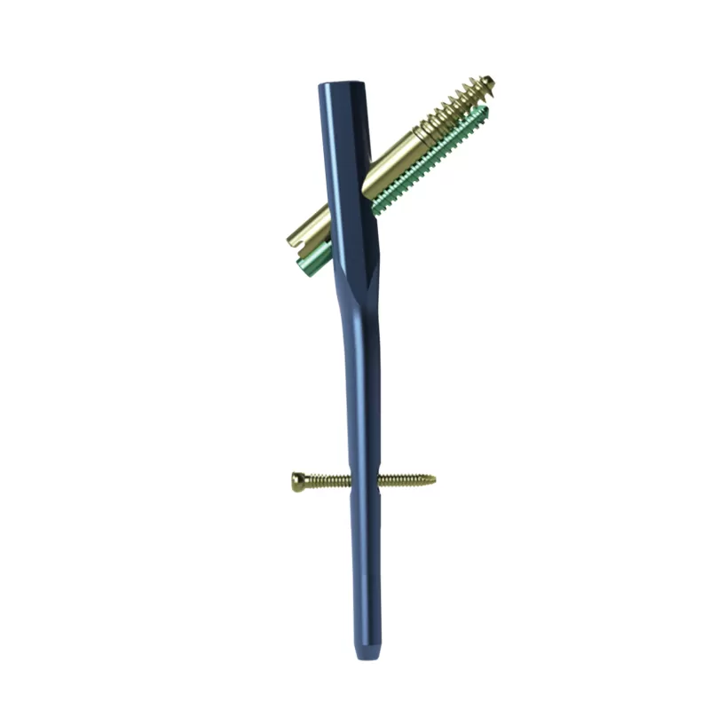 Proximal Femoral Nail Type II – Double Lag Screw