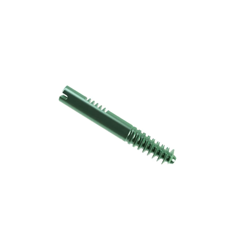 Proximal Femoral Nail Type II – Double Lag Screw