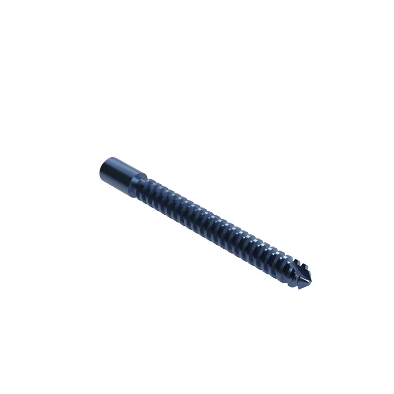 Proximal Femoral Nail Type II – Double Lag Screw