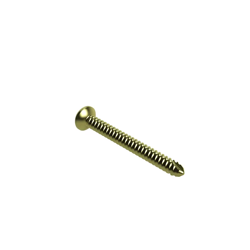 Tibial Intramedullary Nail