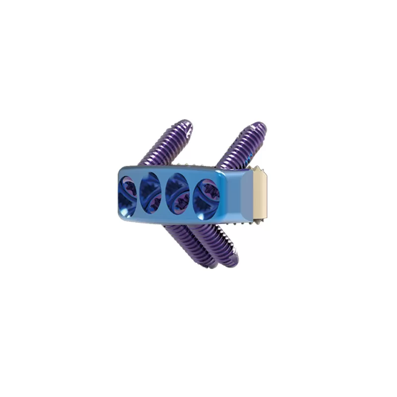 Cervical Interbody Fusion Cage (4 Screws)