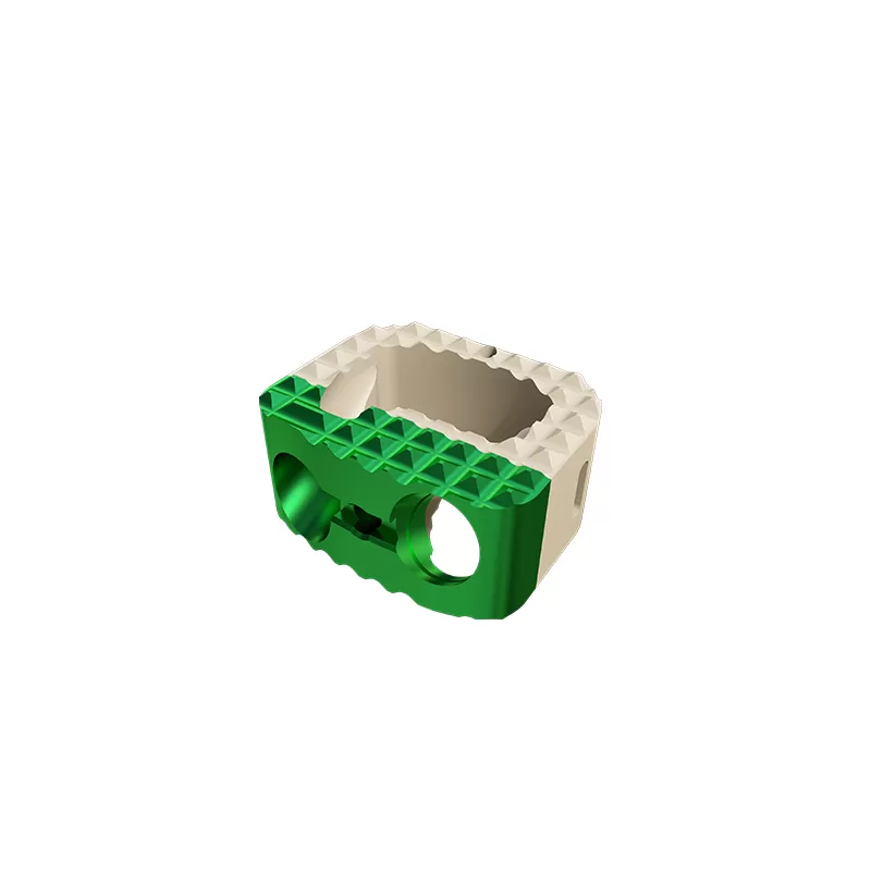 Cervical Interbody Fusion Cage (2 Screws)
