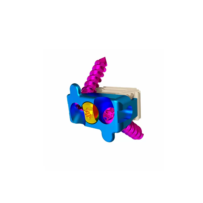 Cervical Interbody Fusion Cage (2 Screws)