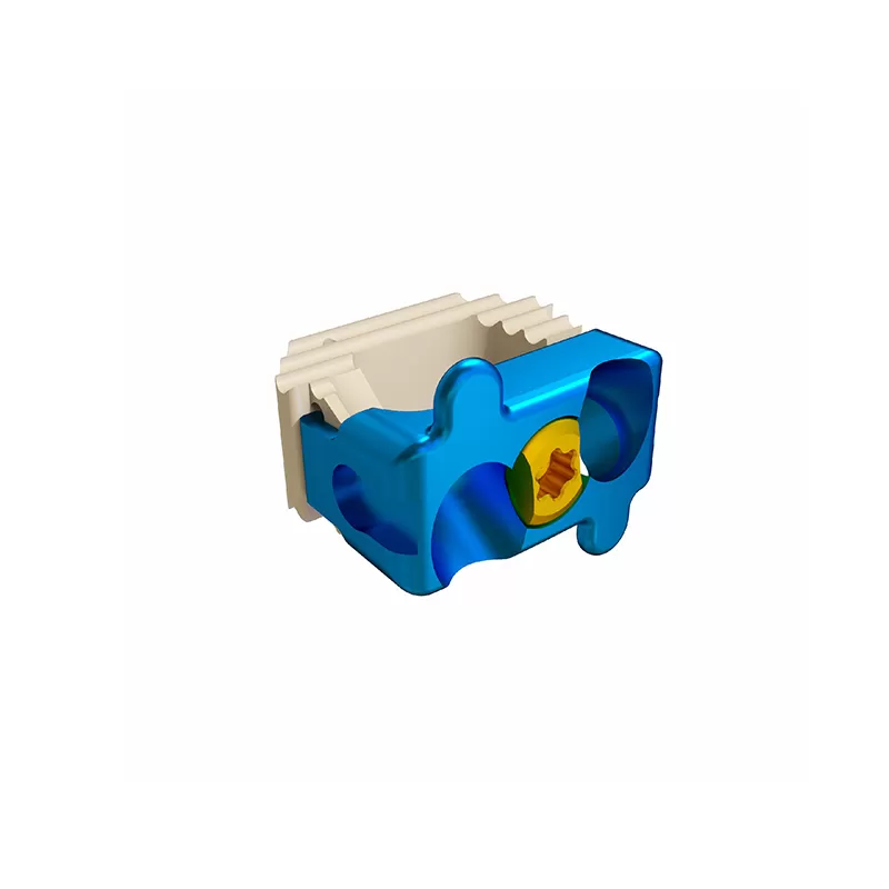 Cervical Interbody Fusion Cage (2 Screws)