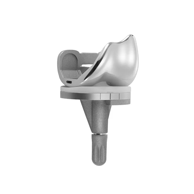 PS (Posterior Stabilized) Type