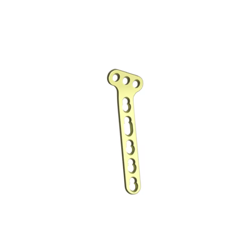 Locking oblique T-shaped bone plate