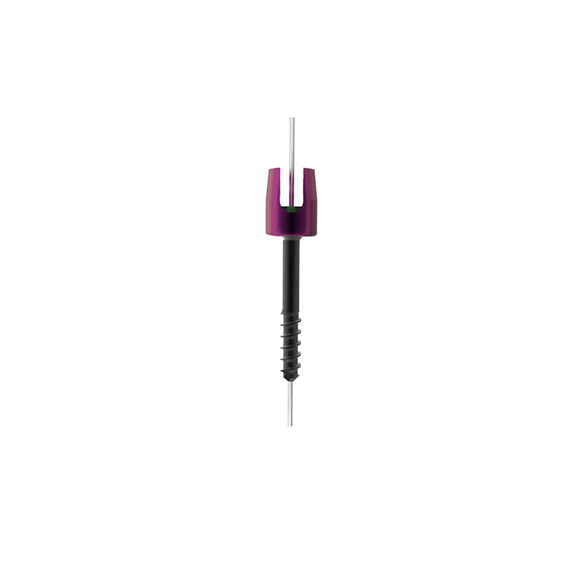 Polyaxial screw part threaded, cannulated - OCT System Components