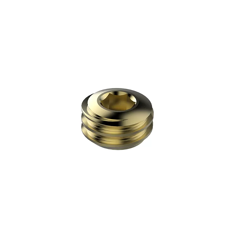 Set Screw - OCT System Components