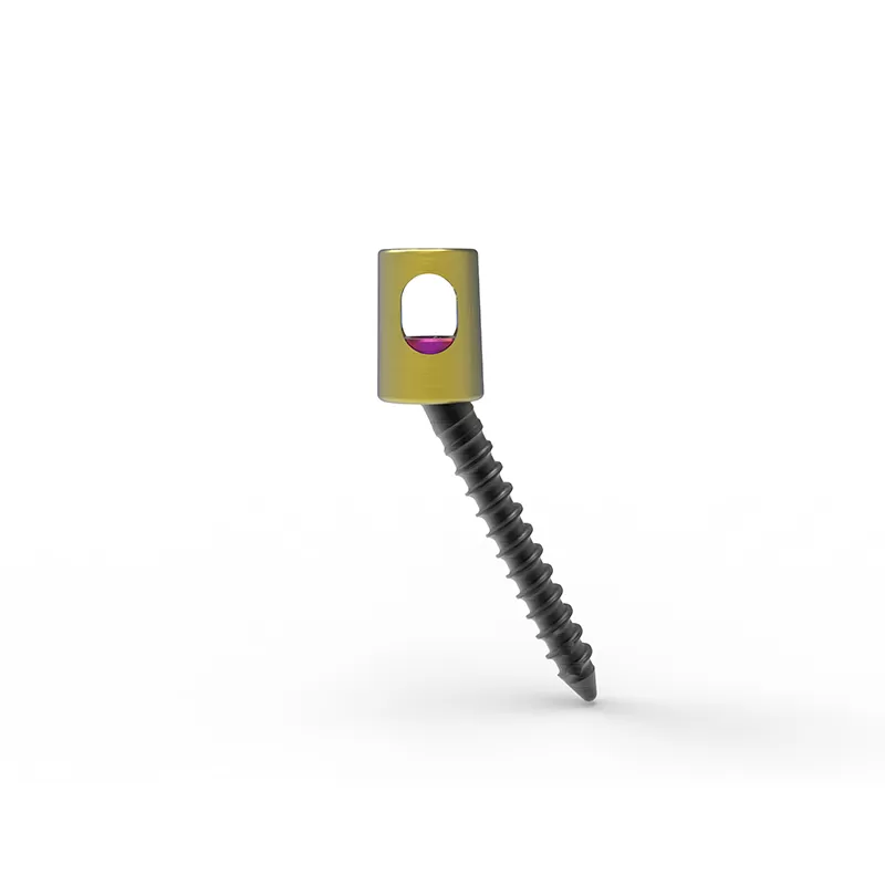 Closed-head Iliac Screw (5.5 system)