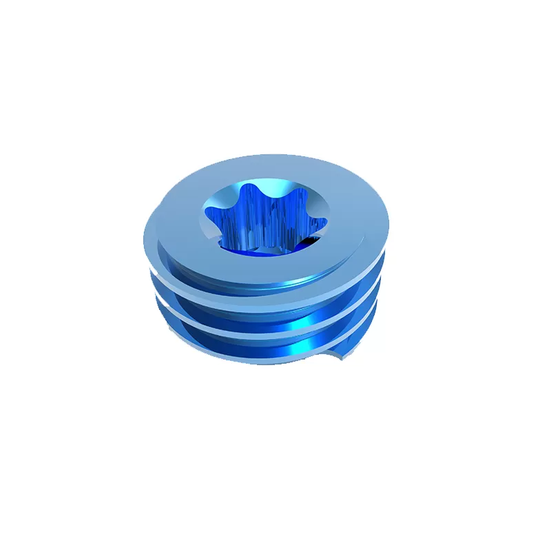 Set Screw (5.5 system)