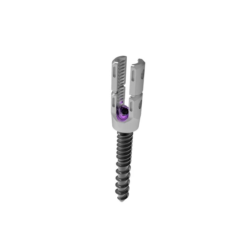 Reduction Polyaxial Screw (5.5/6.0 system)