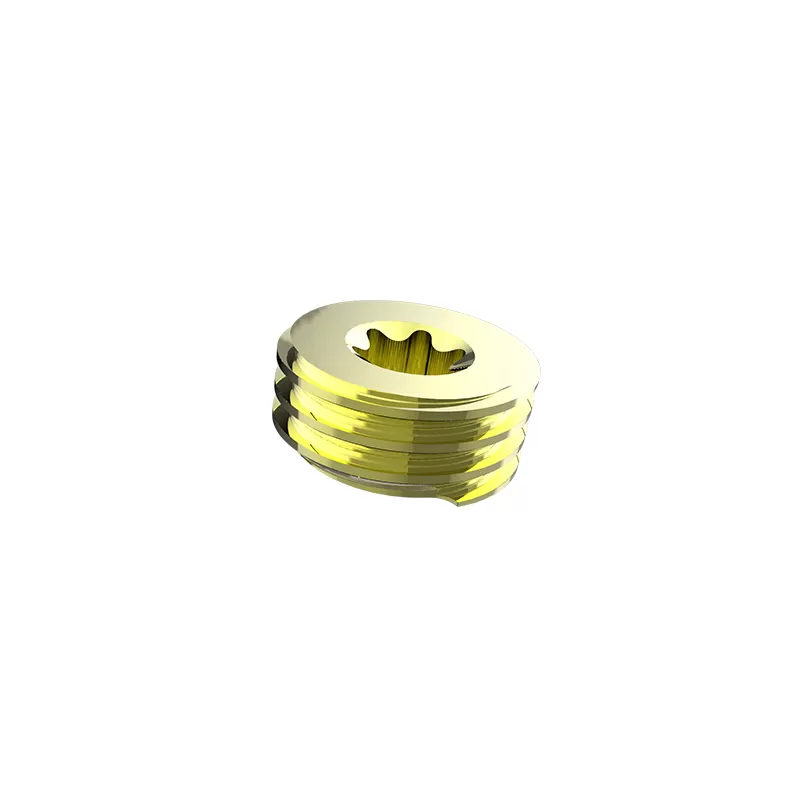 Set Screw,type II (5.5/6.0 system)