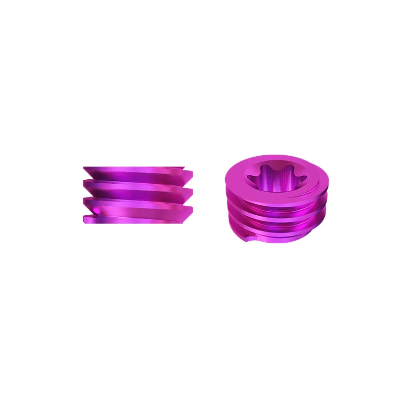 Set Screw  (4.5 system)