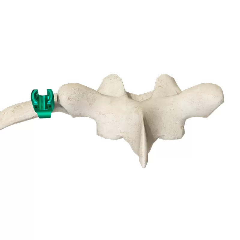 Leftward slanted hook I -M  (4.5 system)