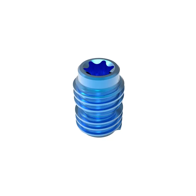 Set Screw, reduction (5.5 system)