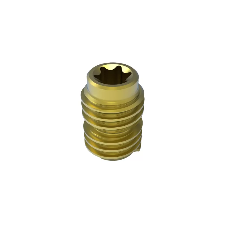 Set Screw, reduction (6.0 system)