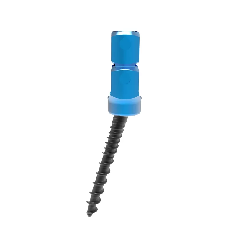 Ti Posterior Rod-Screw for Spinal Deformity (5.5 System)