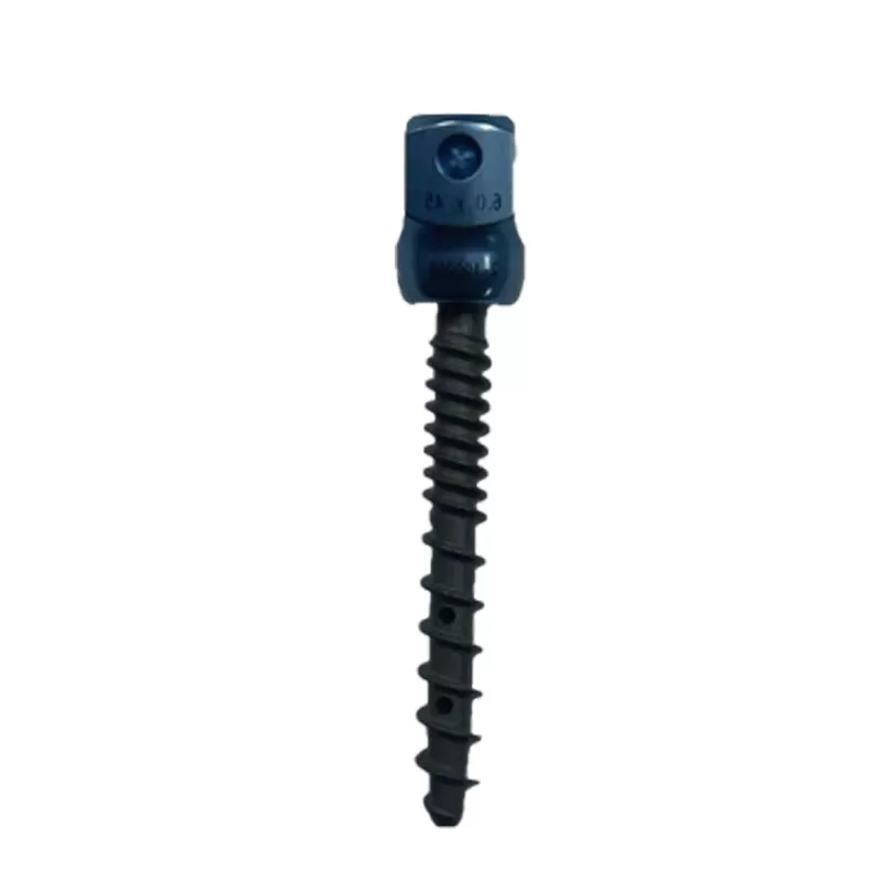 Cement-Augmented Polyaxial Screw III