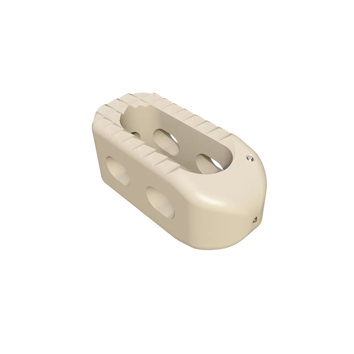 Lumbar Interbody Fusion Cage LF-II