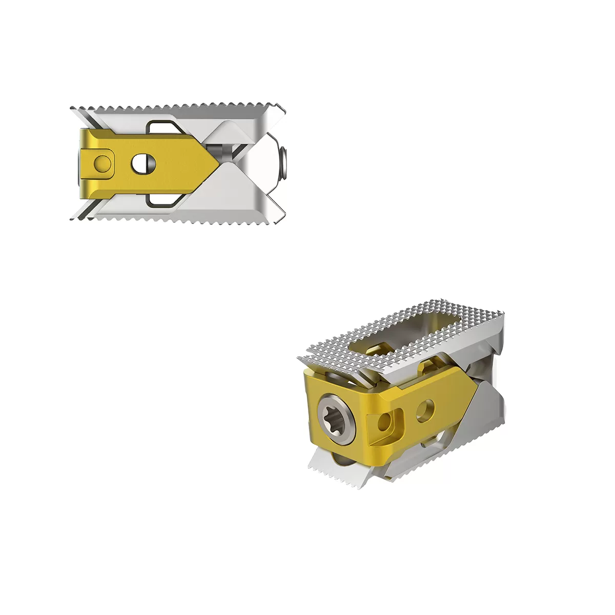 Expandable Interbodyfusion Cage