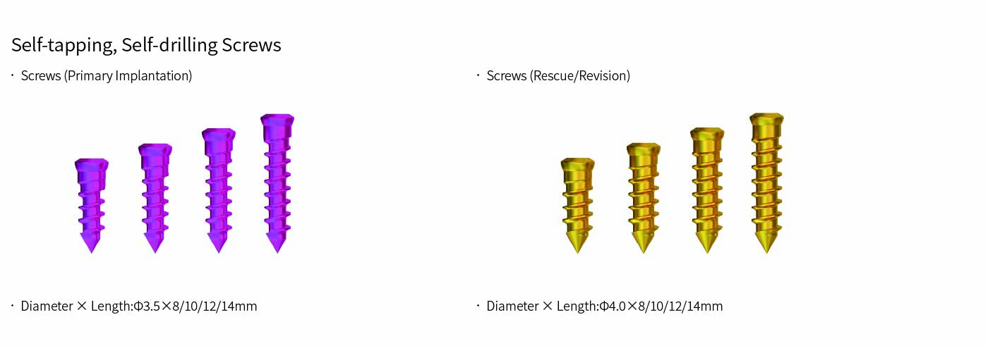 Self-Stabilizing Cervical Interbody Fusion Cage - 2 Screws 测试编辑框用