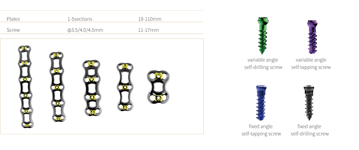 Anterior Cervical Plate - Type II