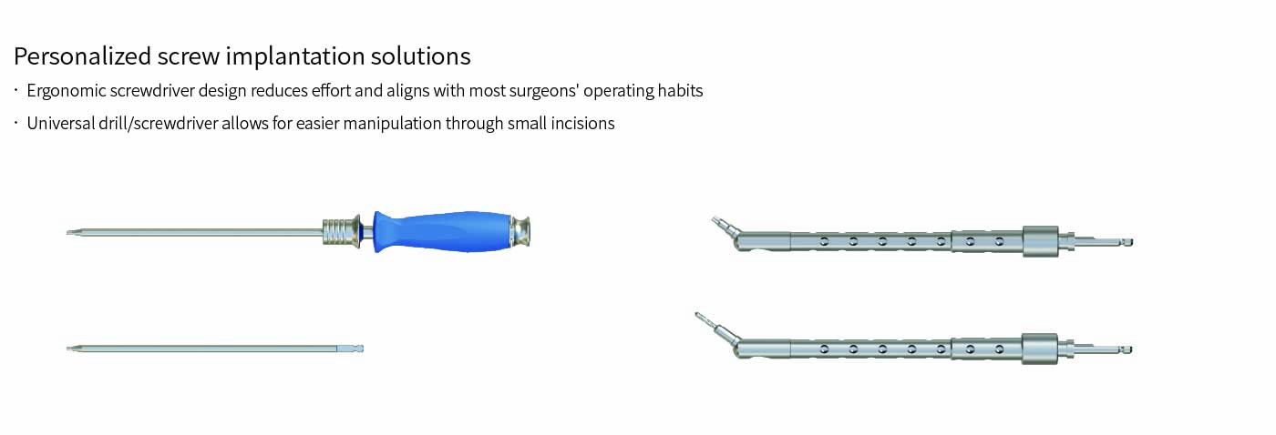 Cervical Interbody Fusion Cage (2 Screws)