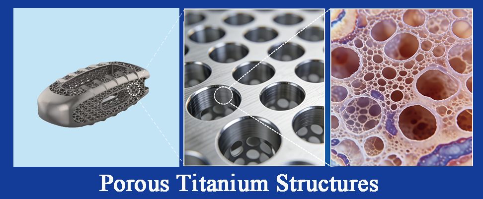 Porous Titanium Structures.png